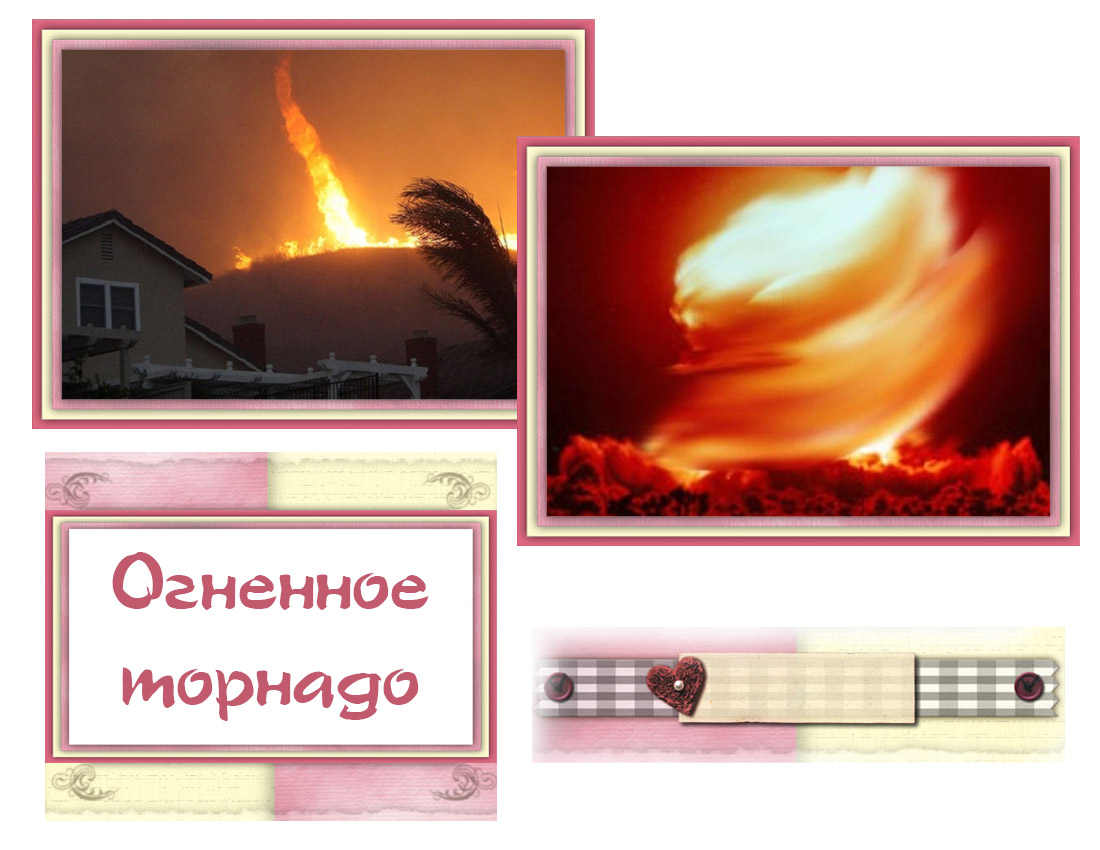 Явления живой природы